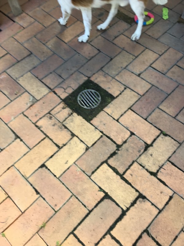 Samford Village Blocked Drain Broken 