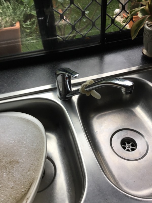 Toorbul Tap Service 