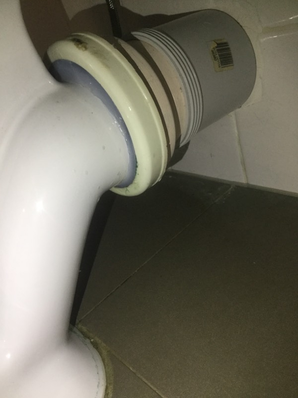 Toilet Replacement Lutwyche 