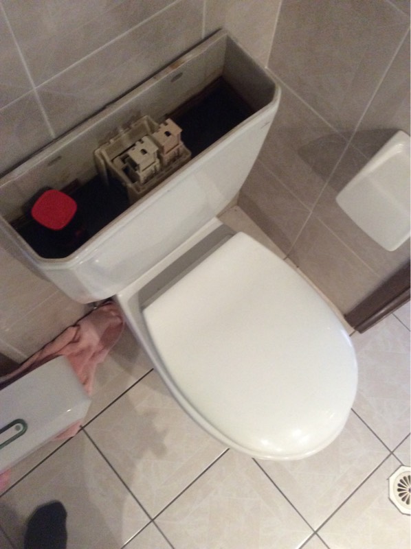 D'aguilar Toilet Service