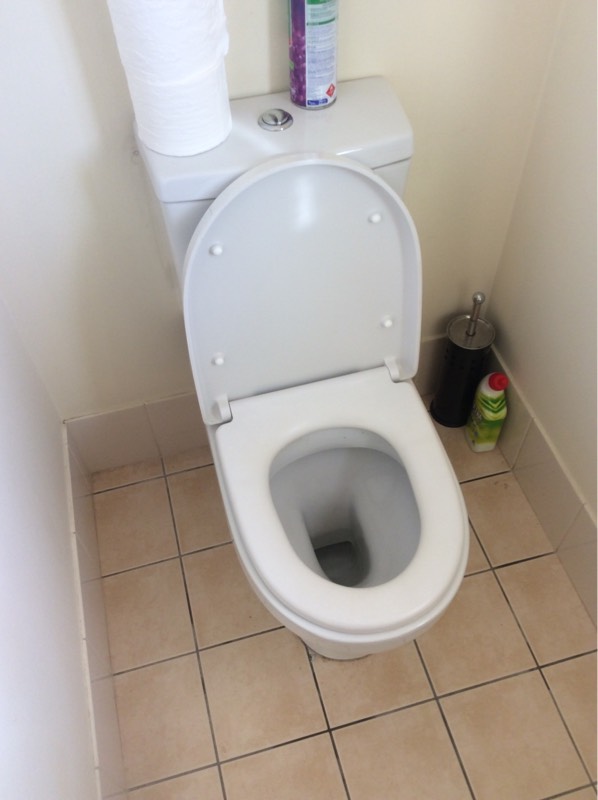 Toilet Installation King Scrub 