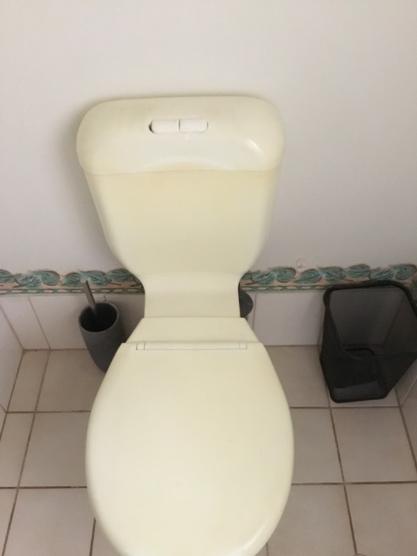 Toilet Leaking Moorina 