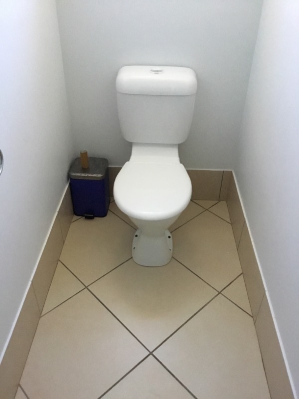 Mount Samson Toilet Dripping