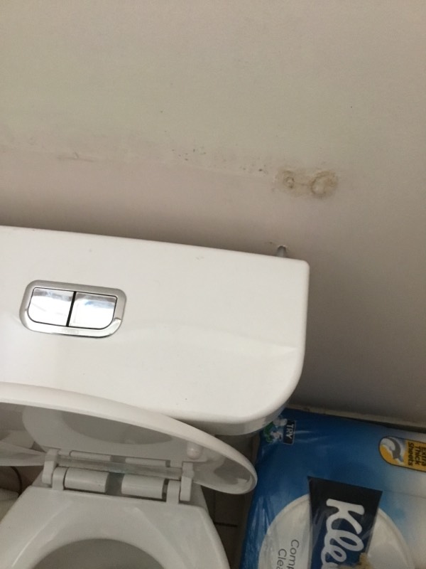 Toilet Dripping Bellara 