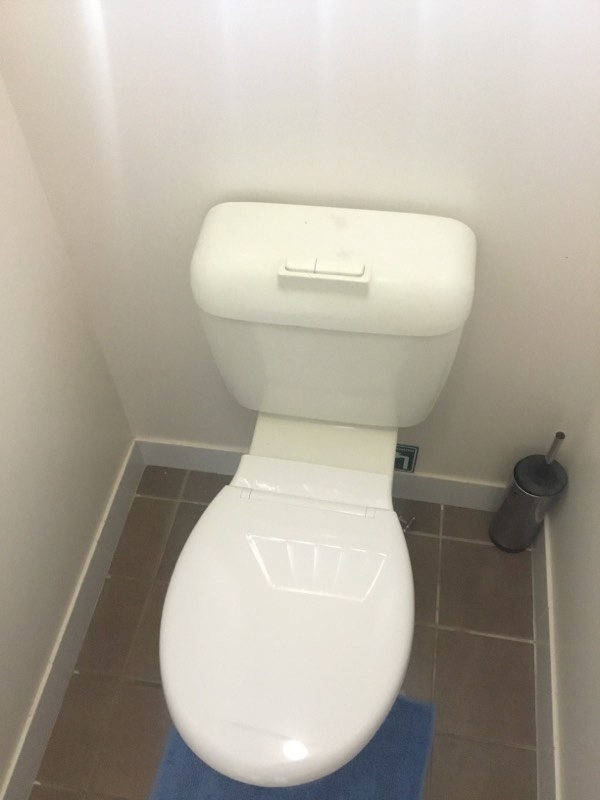 Toilet Installation Bellthorpe 