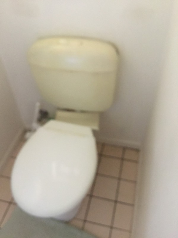 Toilet Replacement Banksia Beach 