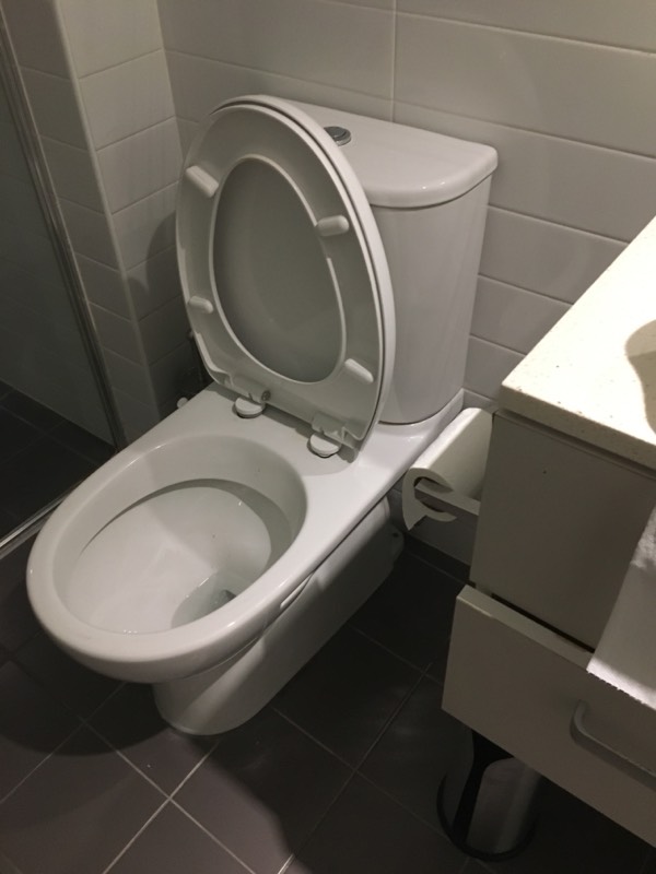 Toilet Repairs Burpengary East 