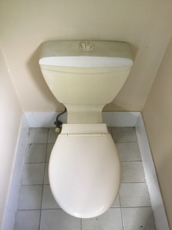 Toilet Replacement Caboolture South 