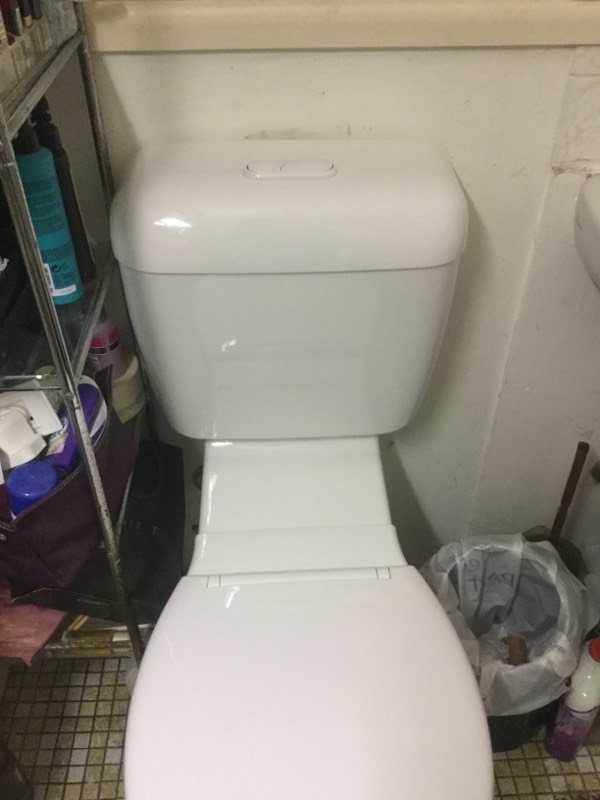 Toilet Installation Mount Cootha 