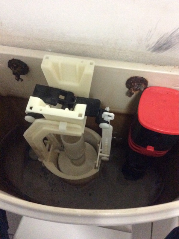 Kenmore Hills Toilet Replacement 