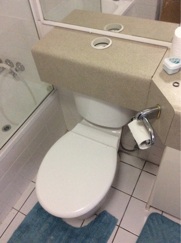 Toilet Service Zillmere 