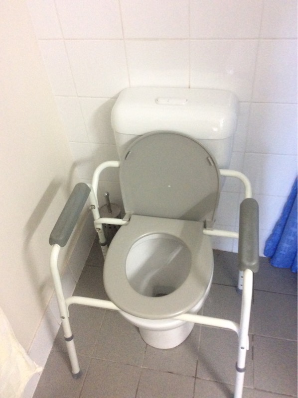 Moggill Toilet Leaking