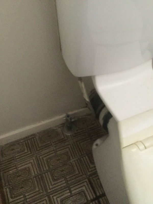 Toilet Broken Upper Caboolture 